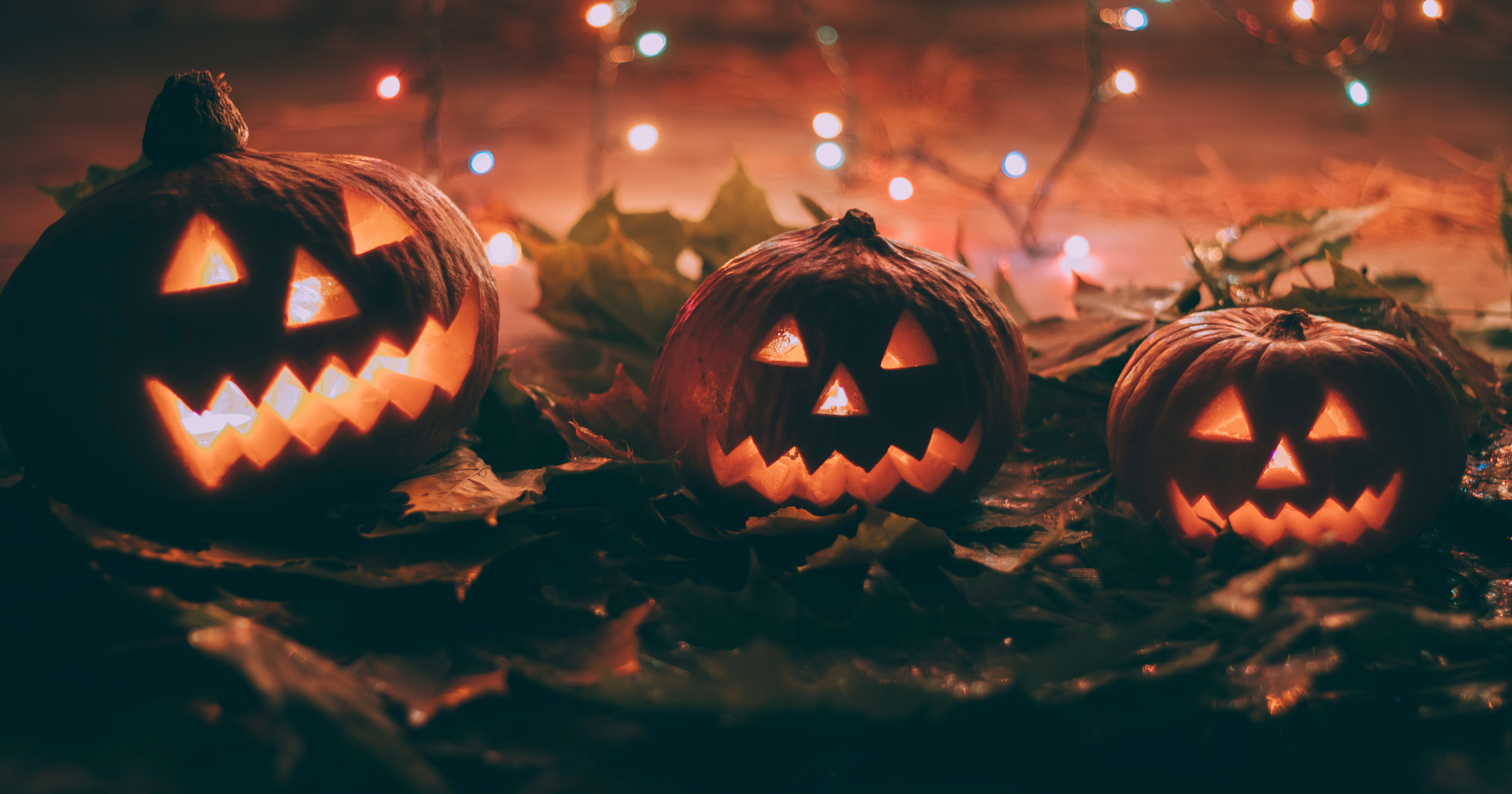 programme vacances automne